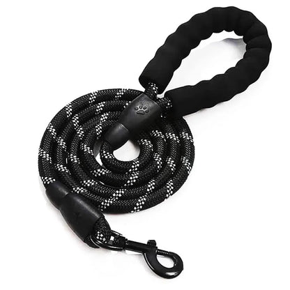 Reflective Dog Leash - Strong Nylon for All Sizes