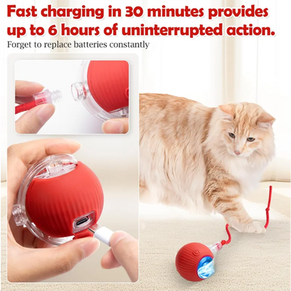 Smart Interactive Cat Ball - Automatic Rolling Toy