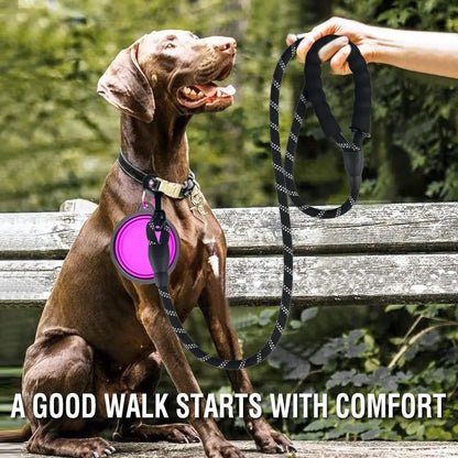 Reflective Dog Leash - Strong Nylon for All Sizes