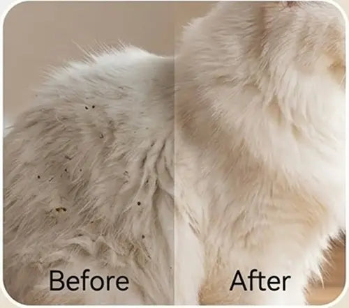 Steam Mist Pet Grooming Brush – Electric Spray Comb for Dogs & Cats (4 Colors)