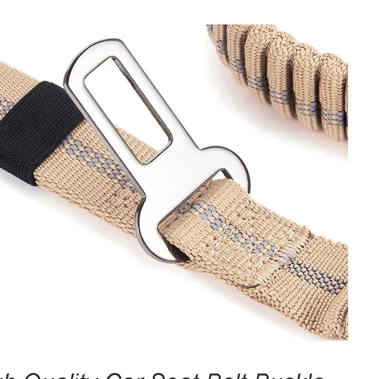 Tactical Bungee Dog Leash - Shock-Absorbing & Reflective - Petmartopia