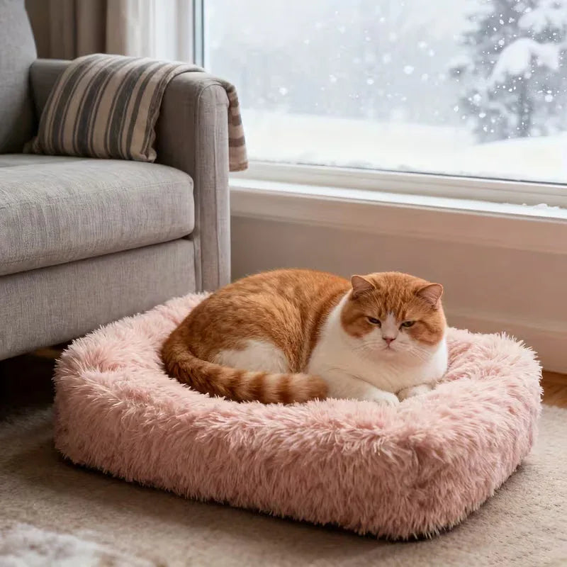 The Plush Comfort Bed - Petmartopia