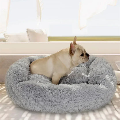 The Plush Comfort Bed - Petmartopia