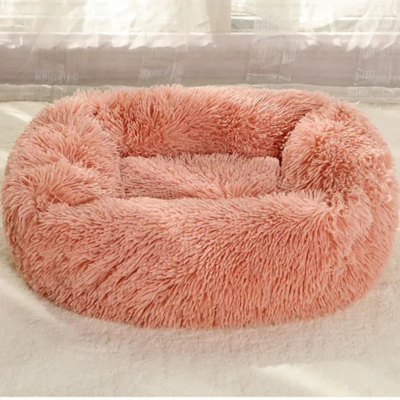 The Plush Comfort Bed - Petmartopia