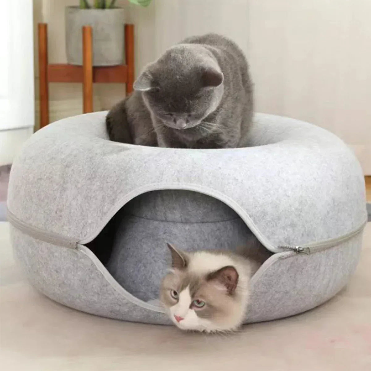 Tunnel Donut Cat Bed - Interactive Play & Sleep Combo - Petmartopia