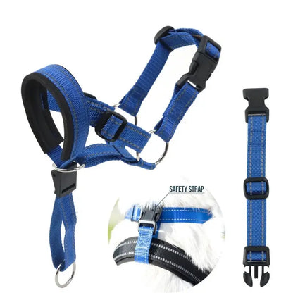 Dog Head Collar & Leash Set - No-Pull Training