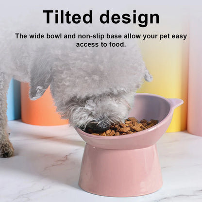 Anti Vomiting Ergonomic Raised Cat Bowl