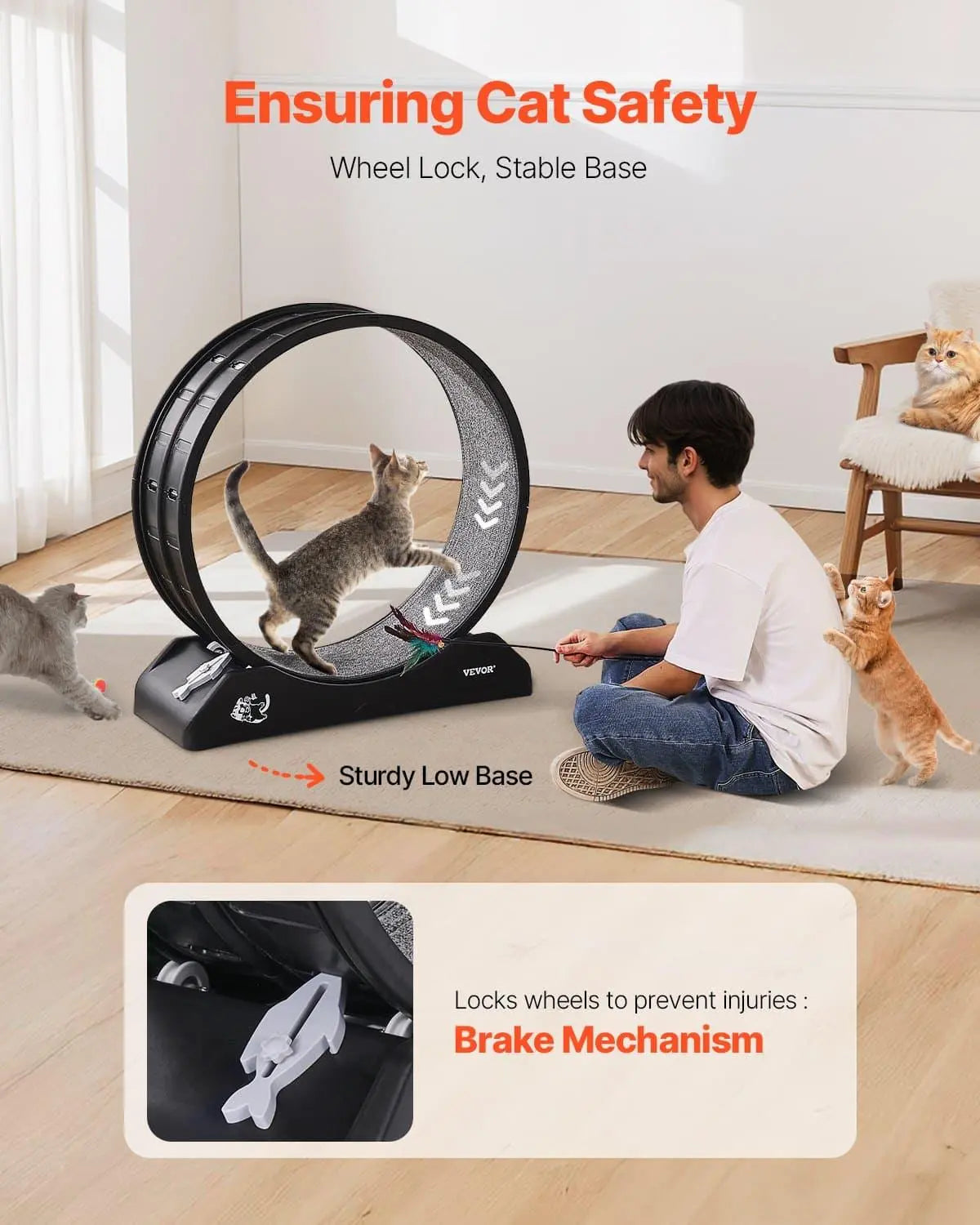 Beds & Furniture Black Cat Exercise Wheel