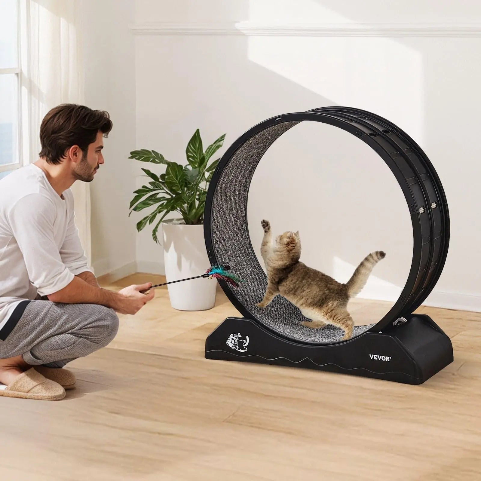 Beds & Furniture Black Cat Exercise Wheel