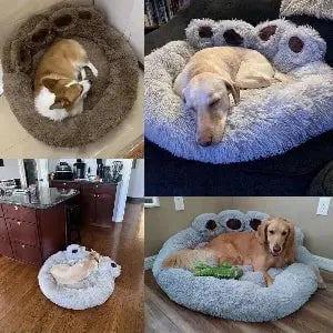 The Bear Paw Bed - Petmartopia