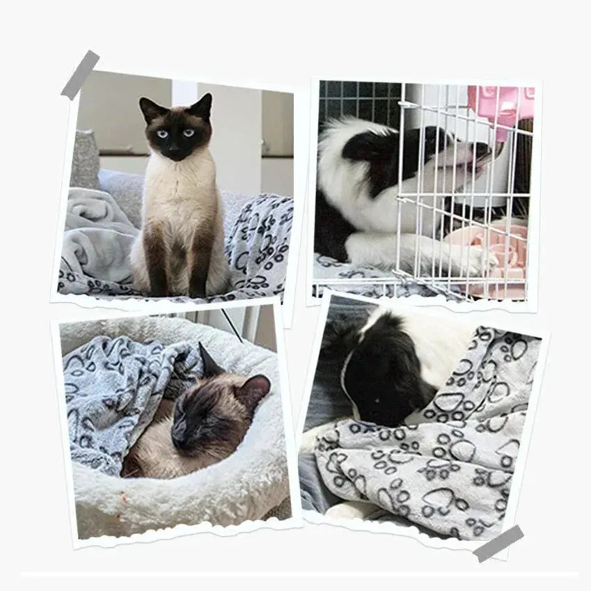 Fluffy Pet Blanket - Petmartopia