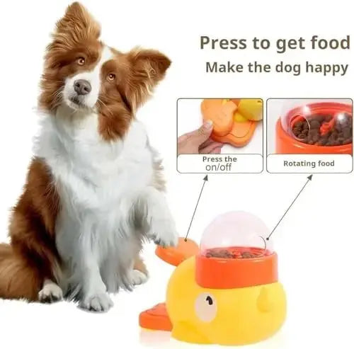 Bloom Anti Bloat Slow Feeder Bowl, BPA - Free Petmartopia - Petmartopia