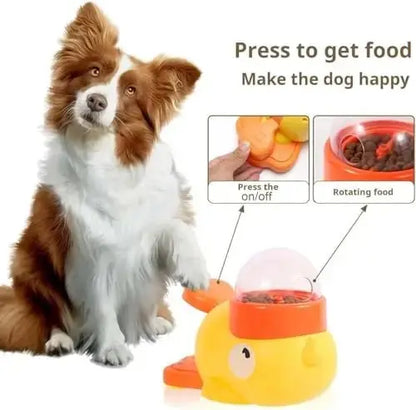 Bloom Anti Bloat Slow Feeder Bowl, BPA - Free Petmartopia - Petmartopia