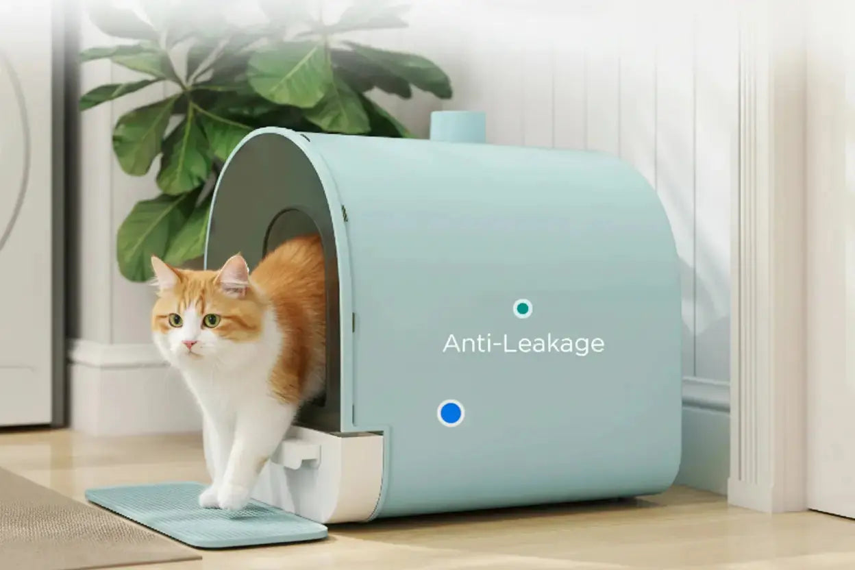 Cat Accessories Cat Litter Box