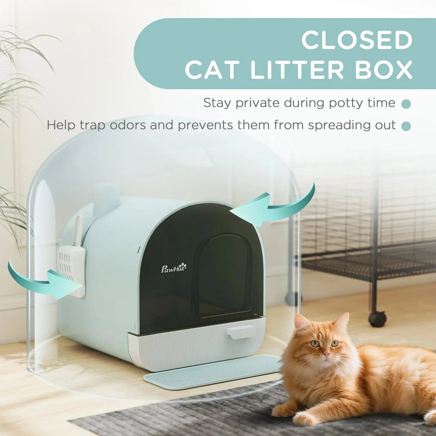 Cat Accessories Cat Litter Box with Lid