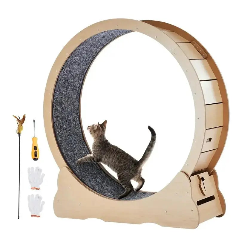 Cat Exercise Wheel - Large 43" - Petmartopia