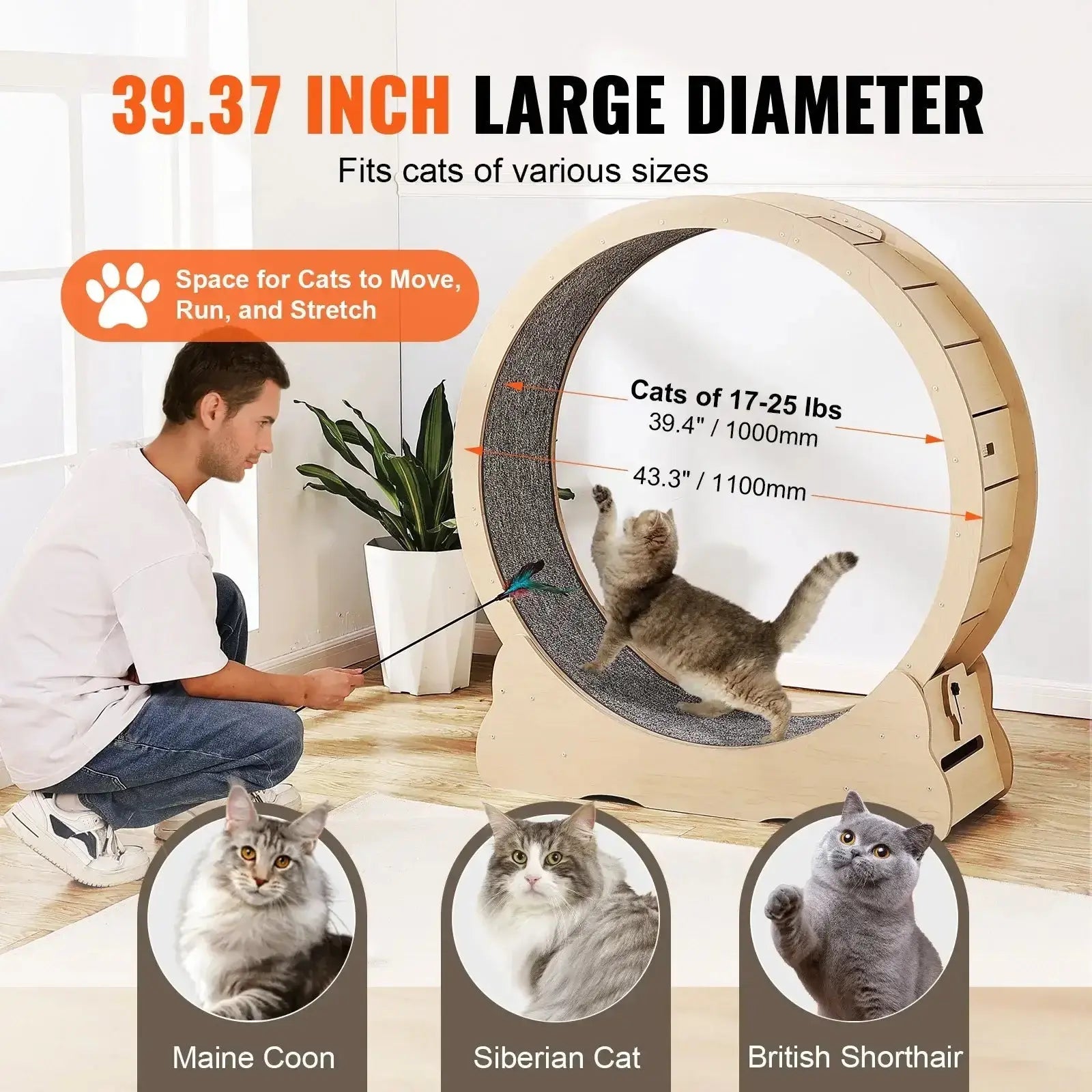 Cat Exercise Wheel - Large 43" - Petmartopia
