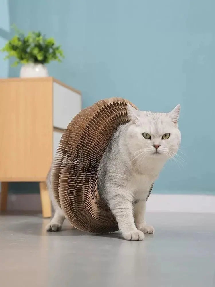 Cat Scratching Board - Petmartopia