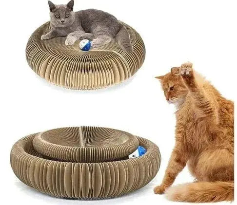 Cat Scratching Board - Petmartopia