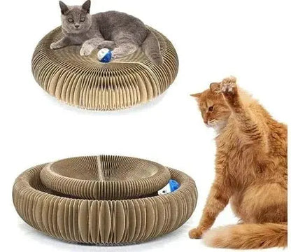 Cat Scratching Board - Petmartopia
