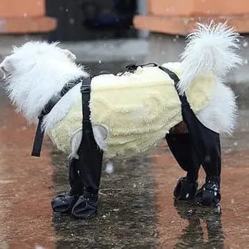 Rugged Paw™ Dog Boots - Petmartopia