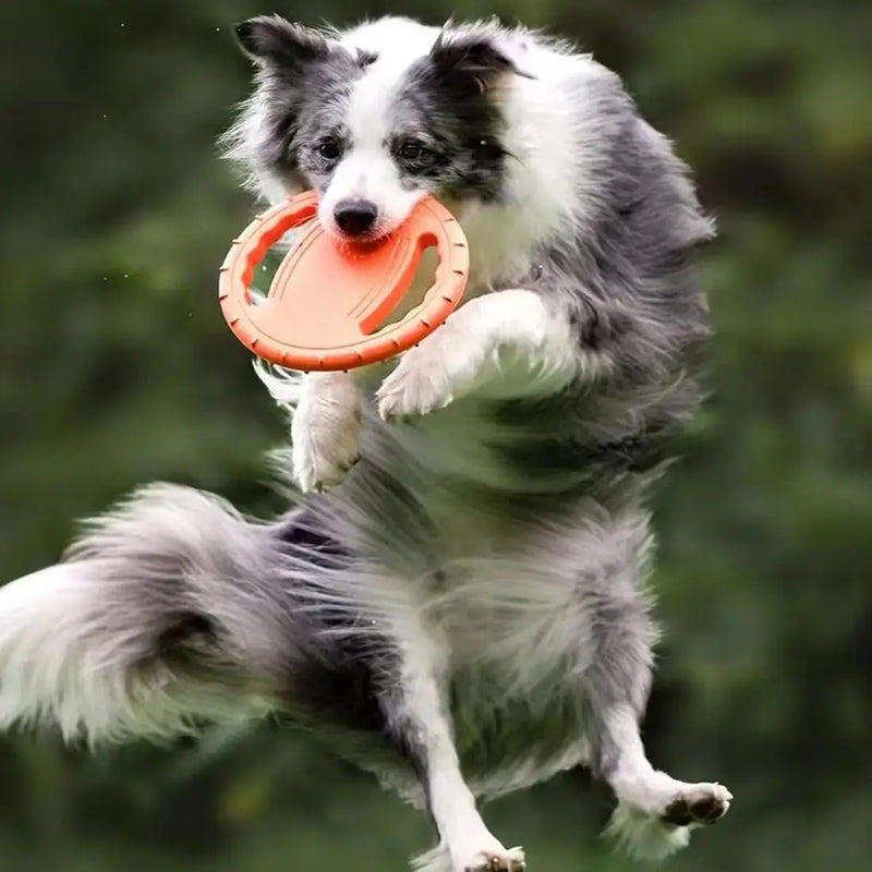 Dog Flying Disc Toy Durable - Soft Rubber by Petmartopia - Petmartopia