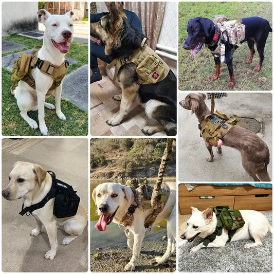 Dog Military Tactical Training Set - Harness, Leash & Collar - Petmartopia