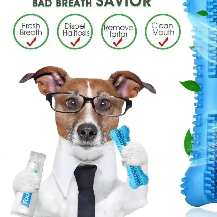 dog toothbrush chew stick - Effortless Dental Care - Petmartopia