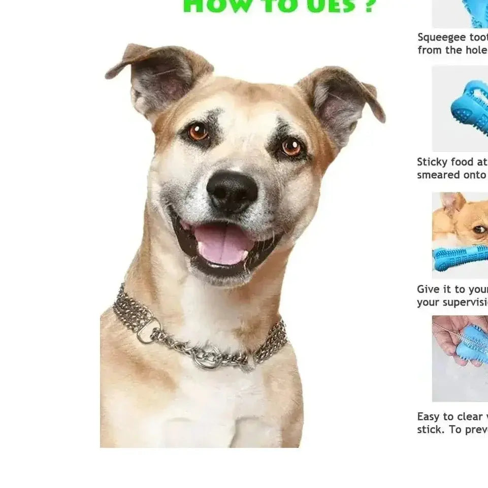 dog toothbrush chew stick - Effortless Dental Care - Petmartopia
