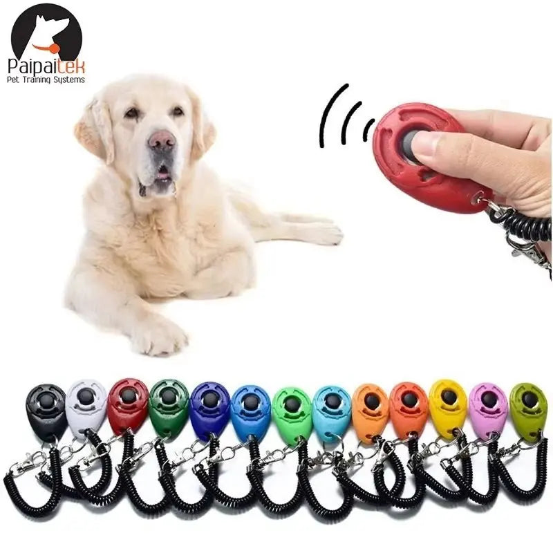 Dog Training Adjustable Wrist Strap Key - Petmartopia