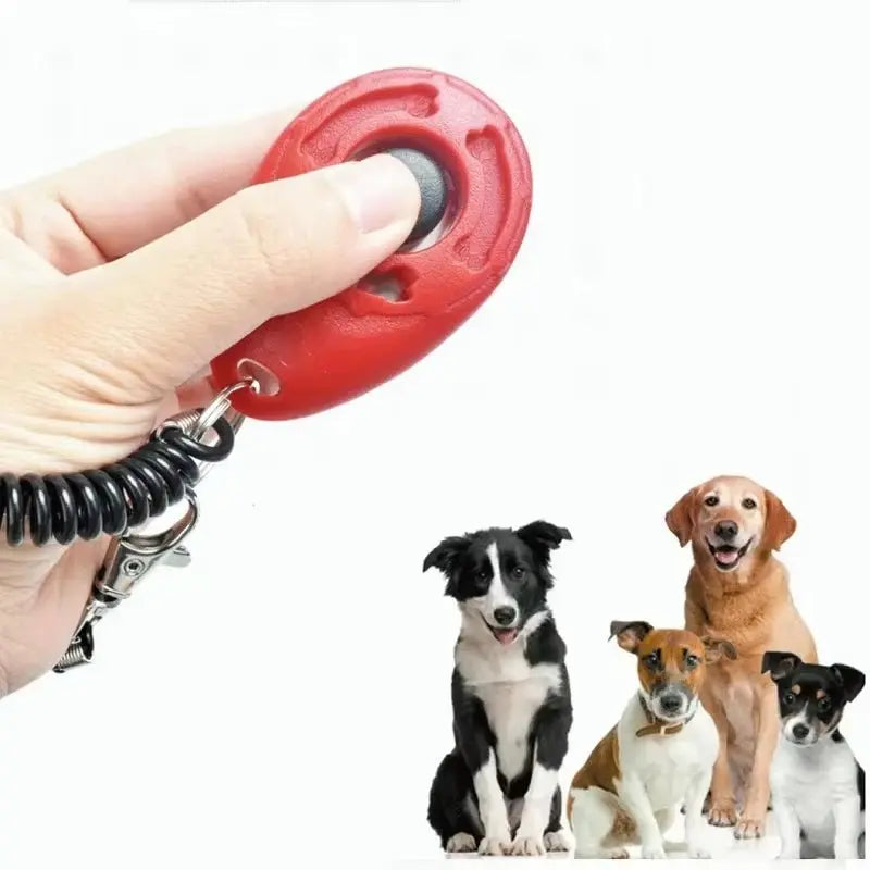 Dog Training Adjustable Wrist Strap Key - Petmartopia