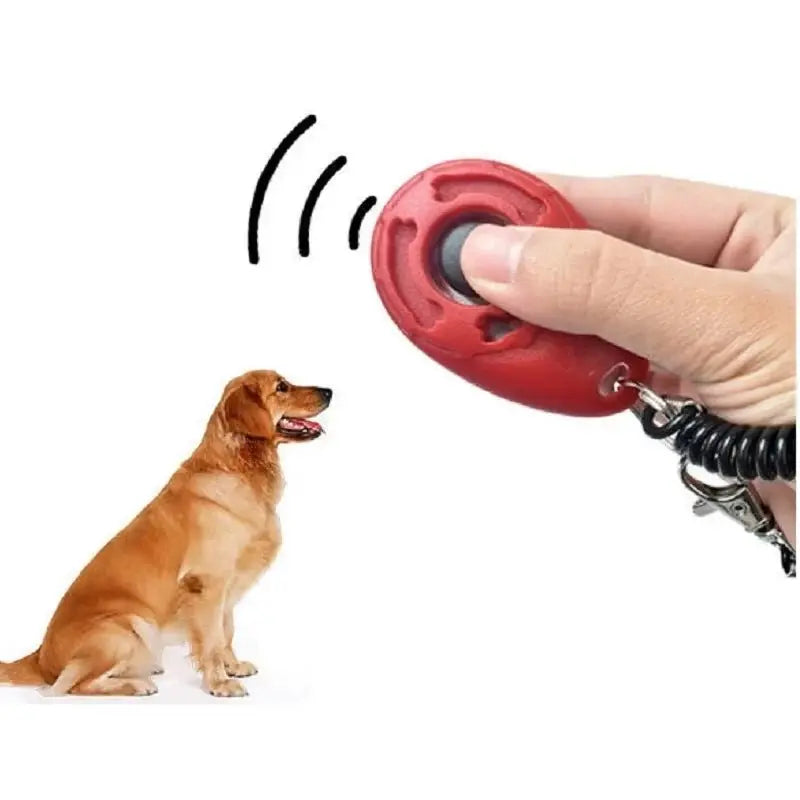 Dog Training Adjustable Wrist Strap Key - Petmartopia