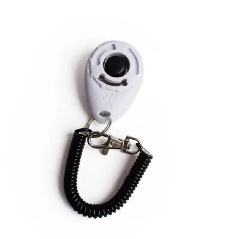 Dog Training Adjustable Wrist Strap Key - Petmartopia
