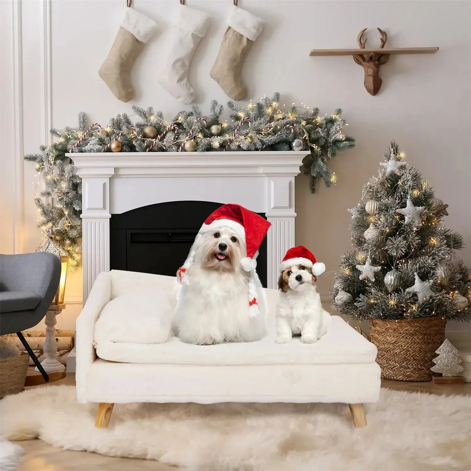 Elevated Cooling Pet Bed for Dogs & Cats - Petmartopia