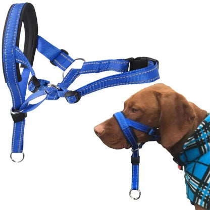 Dog Head Collar & Leash Set - No-Pull Training