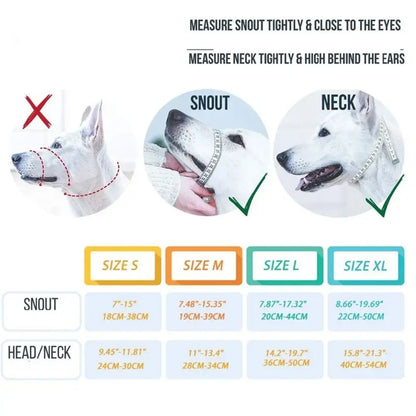 Dog Head Collar & Leash Set - No-Pull Training