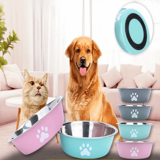 Large-Capacity Stainless Steel Pet Bowl set featuring a golden retriever and a cat in a cozy home setting.