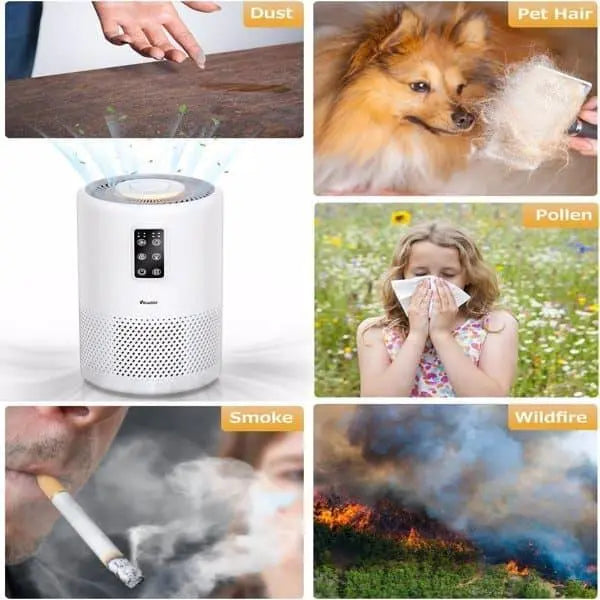 Large Room Air Purifier - Petmartopia