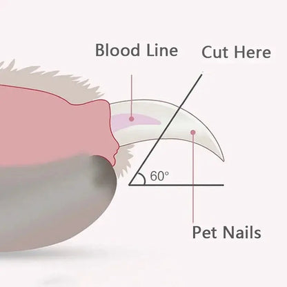 LED Pet Nail Clipper - Safe Trimming - Petmartopia