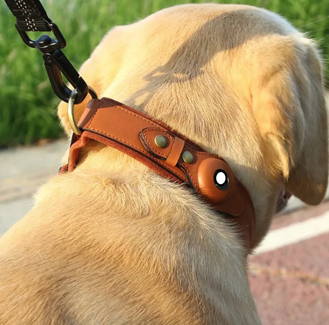 Leather Dog Collar with AirTag Holder