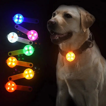 Night Safety Waterproof Luminous Collar Pendant - Petmartopia