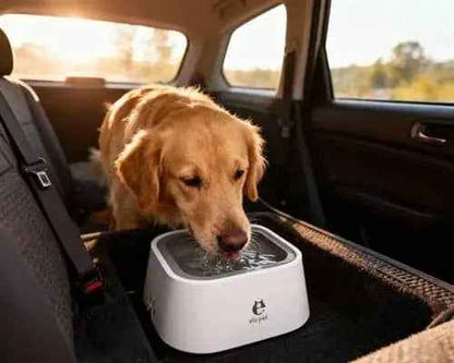 No - Spill Floating Water Bowl - Keep Floors Dry - Petmartopia
