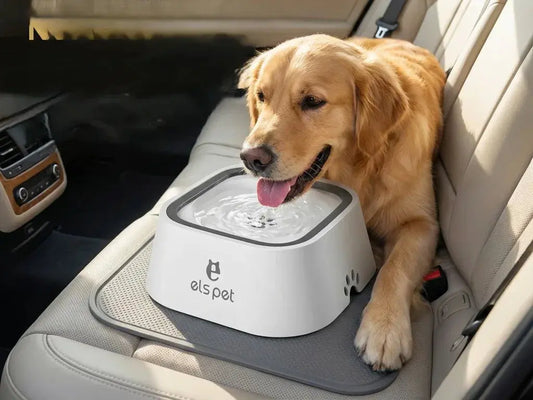 No - Spill Floating Water Bowl - Keep Floors Dry - Petmartopia