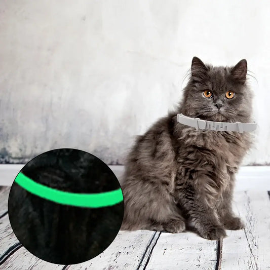 cat calming anxiety collar - Adjustable Solutions worn by a fluffy gray cat, highlighting its calming features.