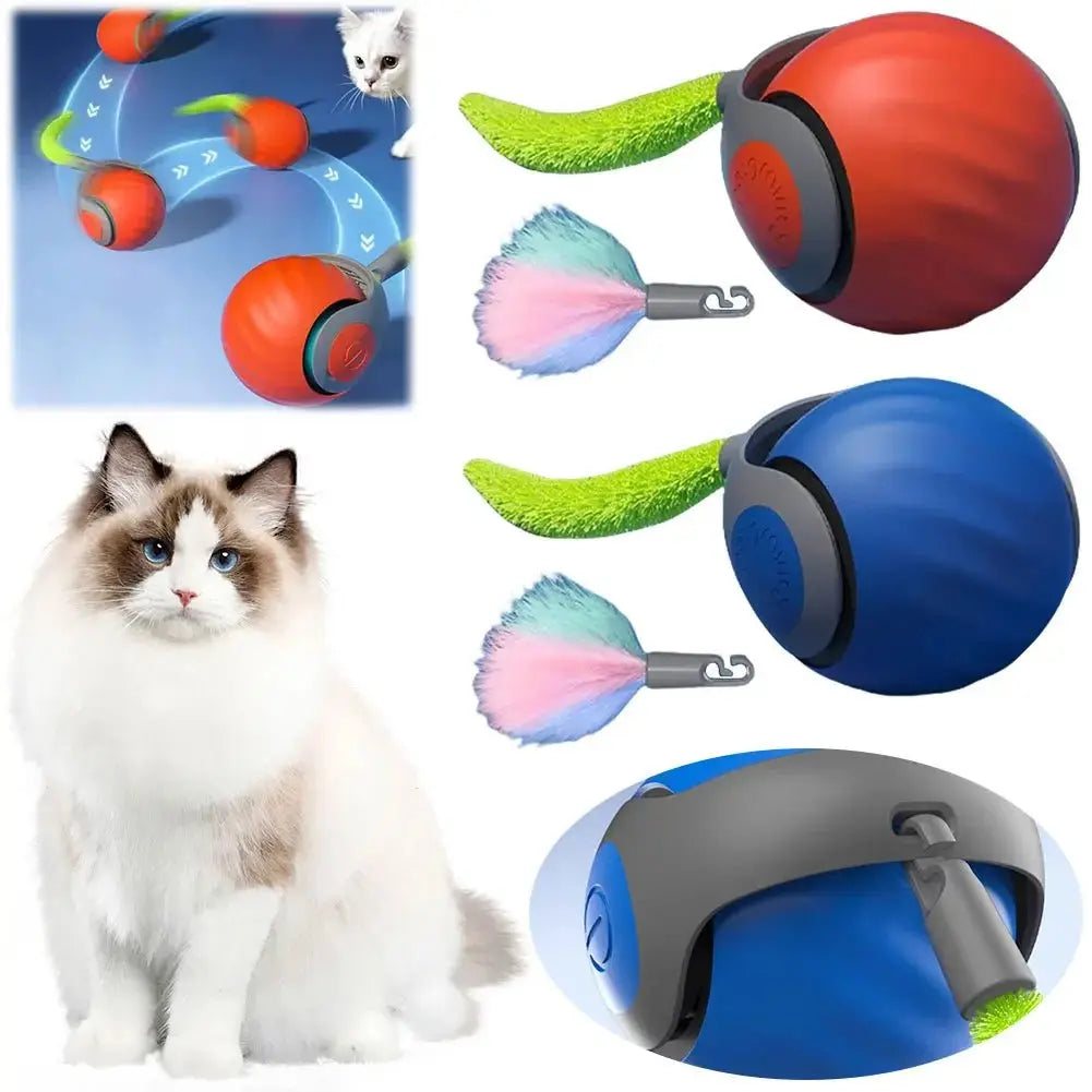 Rechargeable Automatic Moving Ball Toys — Petmartopia - Petmartopia