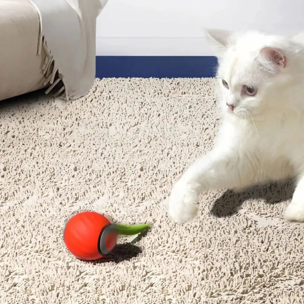 Rechargeable Automatic Moving Ball Toys — Petmartopia - Petmartopia
