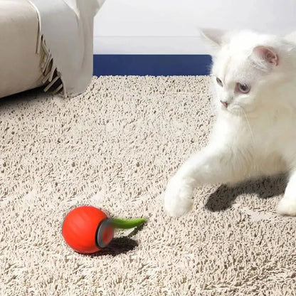 Rechargeable Automatic Moving Ball Toys — Petmartopia - Petmartopia