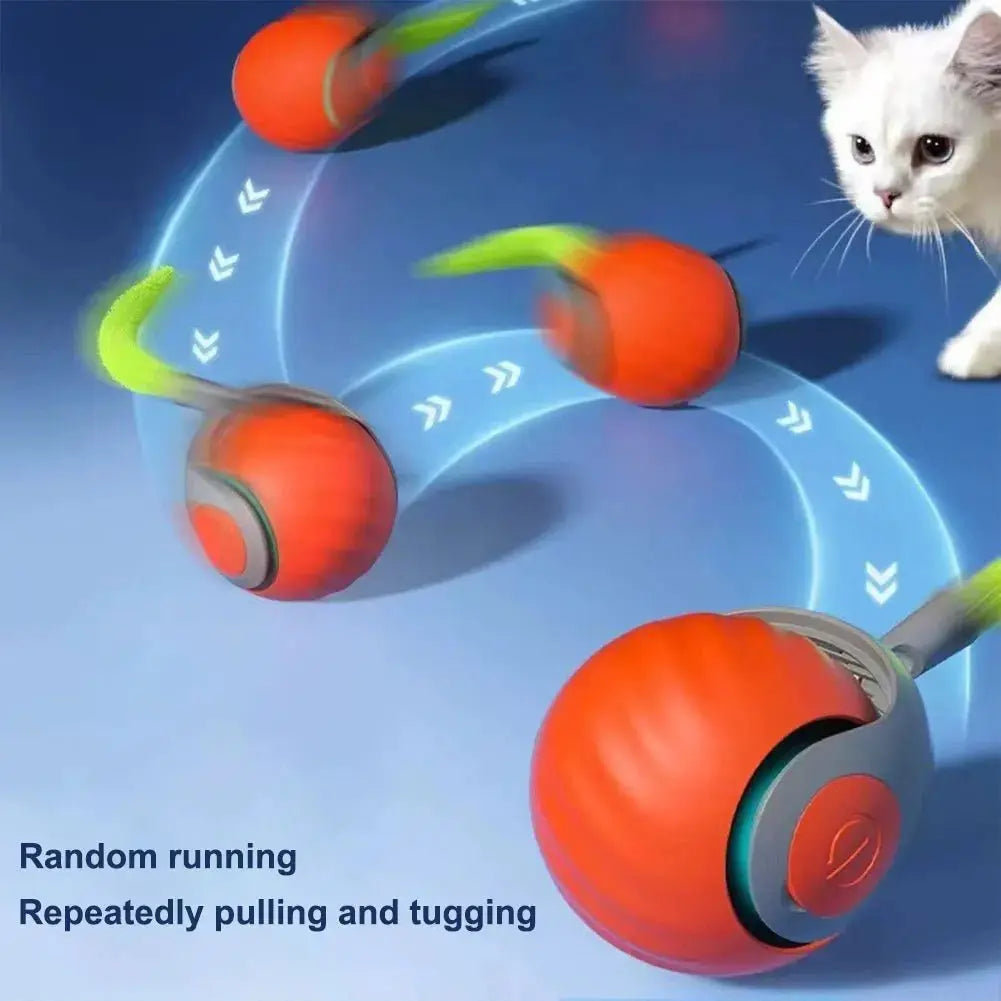 Rechargeable Automatic Moving Ball Toys — Petmartopia - Petmartopia