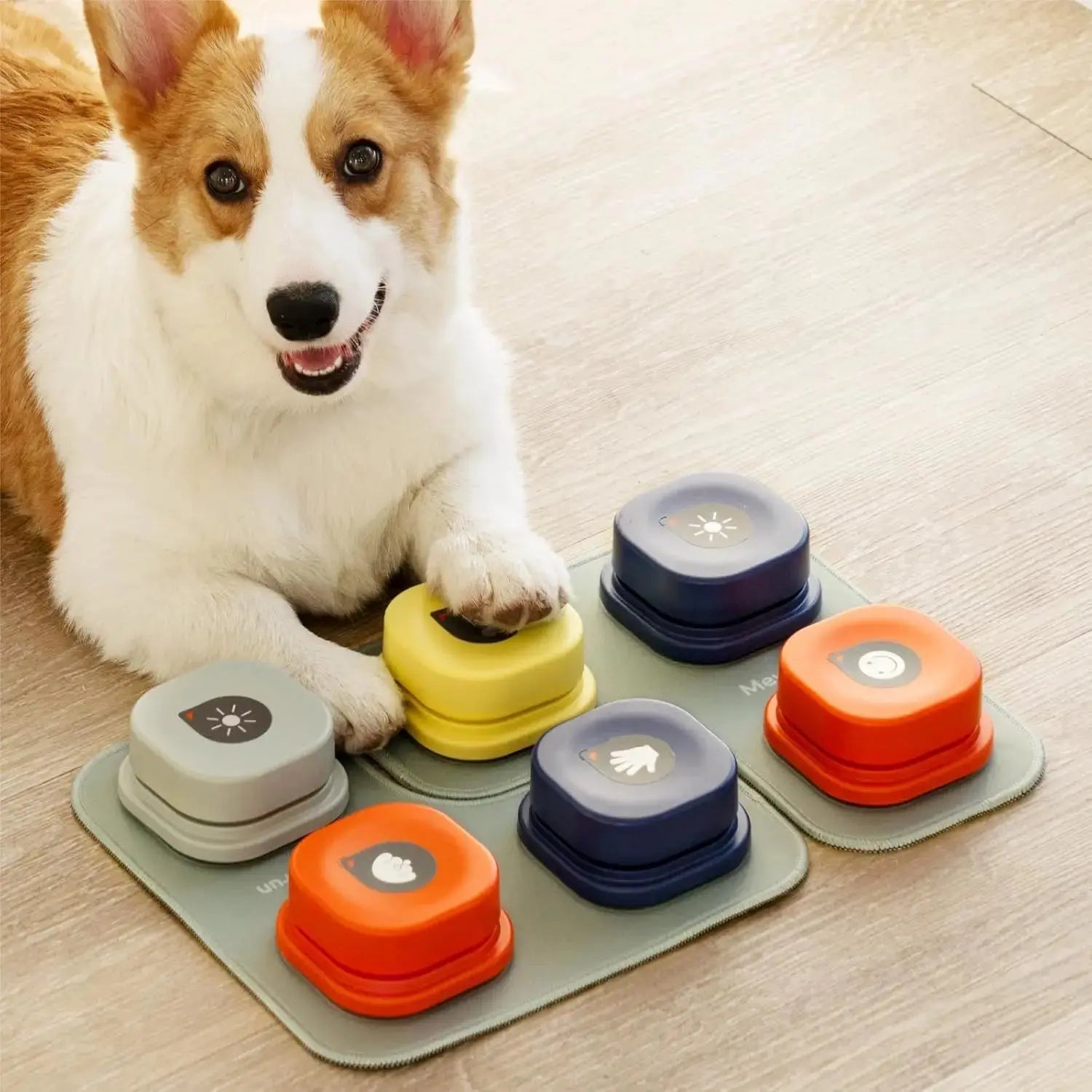 Recordable Pet Communication Toys — Teach Dogs & Cats - Petmartopia