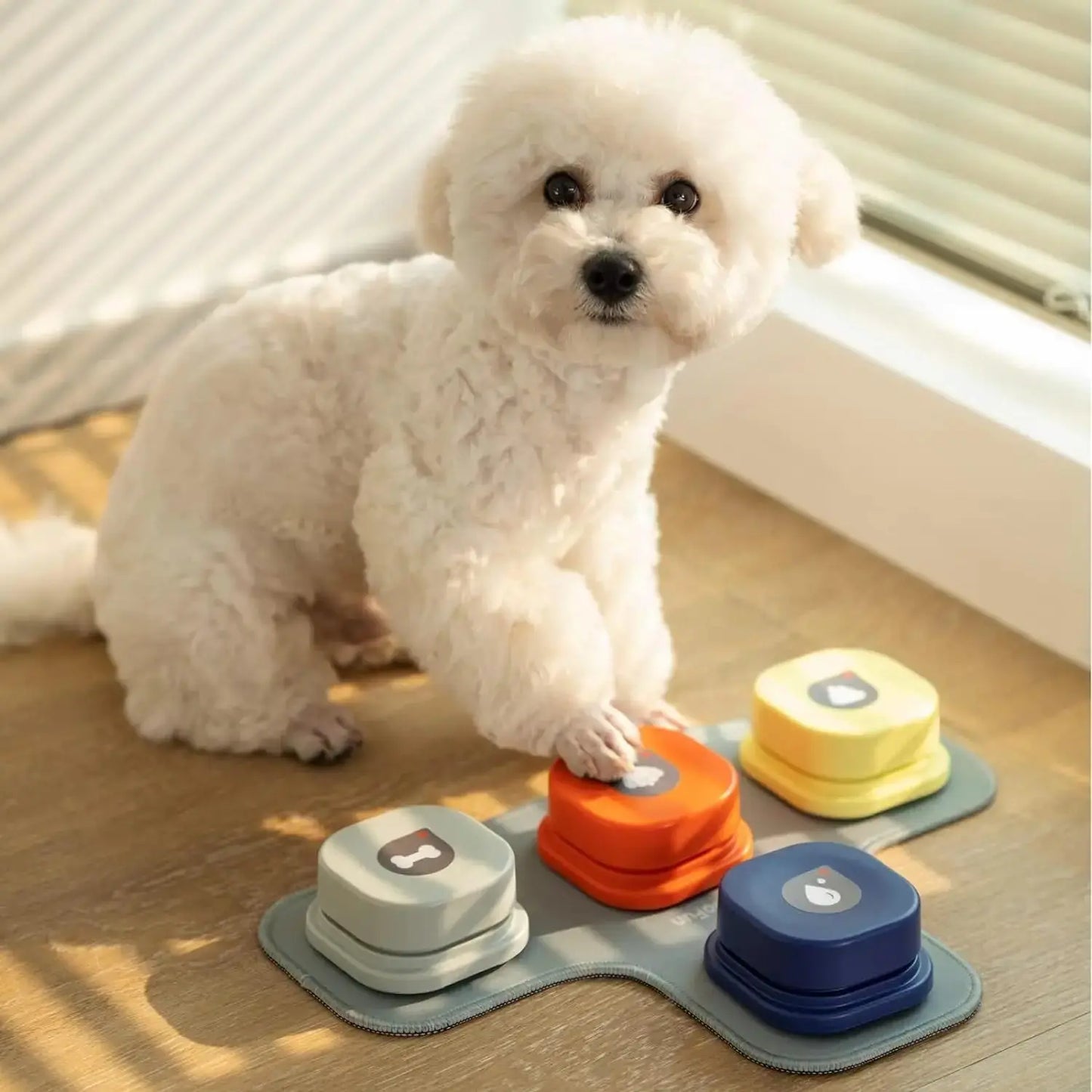 Recordable Pet Communication Toys — Teach Dogs & Cats - Petmartopia